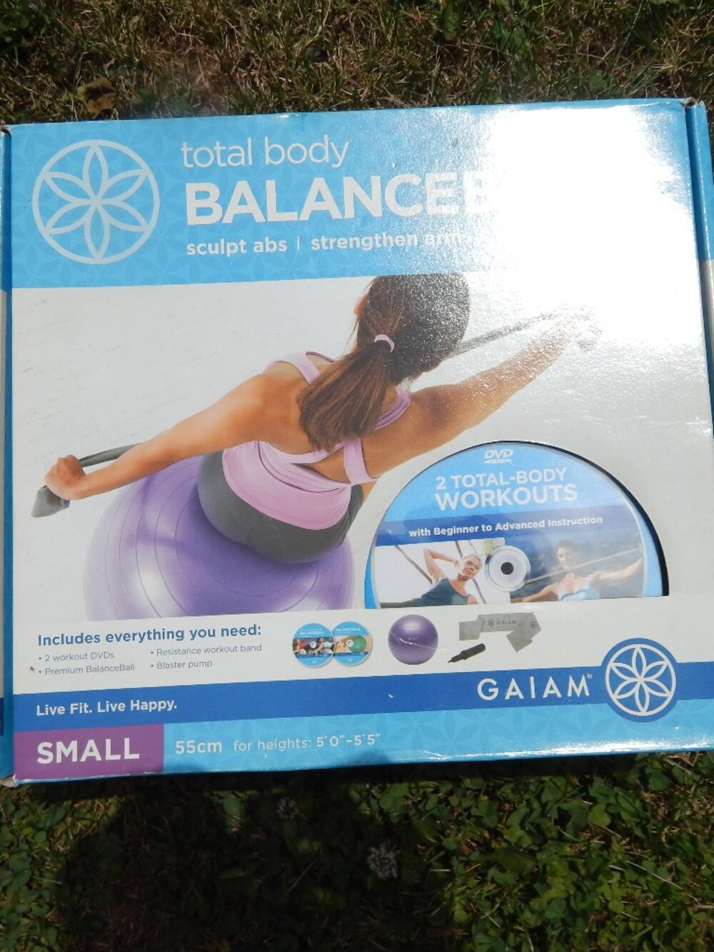 Gaiam Total Body Balanceball 55cm Purple Exercise Ball Set w/ Pump, DVD, Band